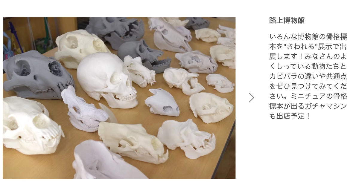 4月12日カピバラグッズマーケットに路上博物館さん出店します！
