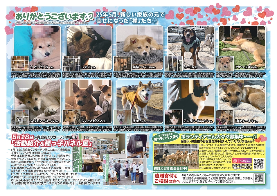 種っこ通信【Newsletter vol.82】近況ご報告♡