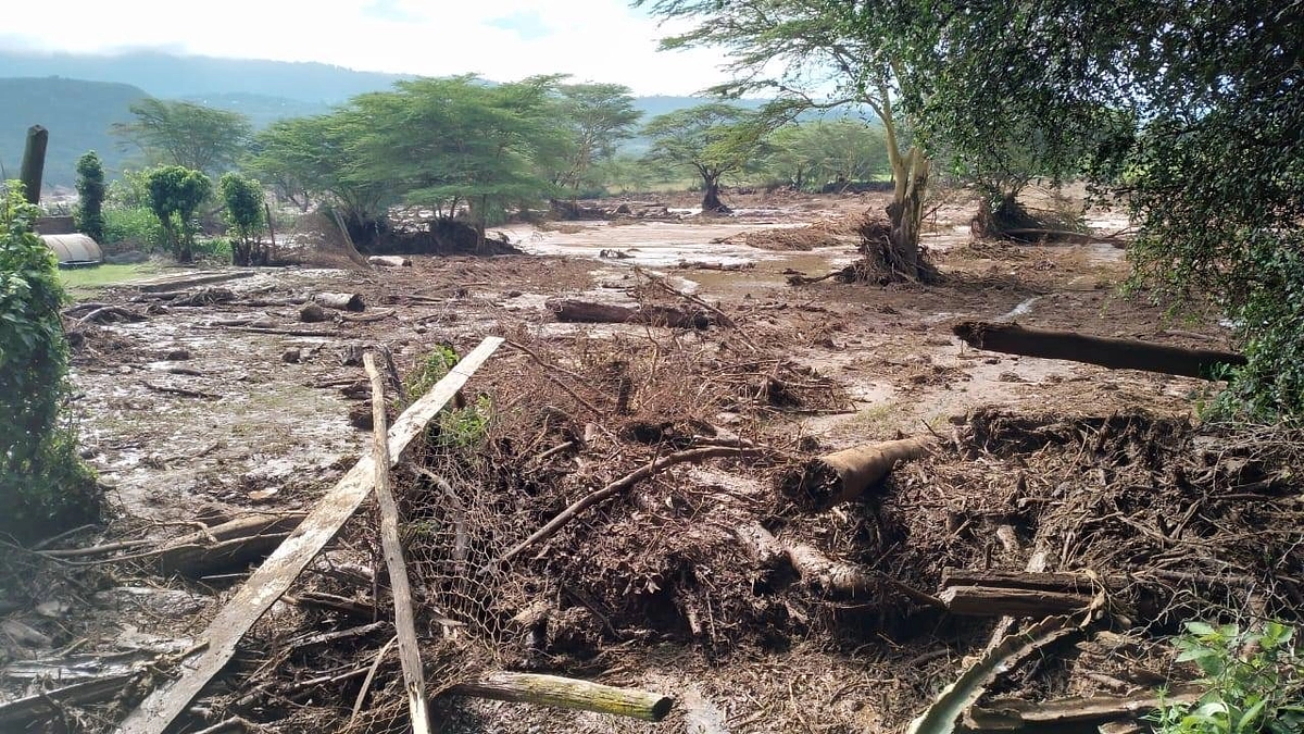 🌈豪雨による土砂災害の状況について