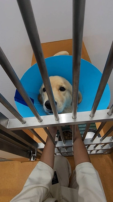 術後の報告と退院日がきまりました！