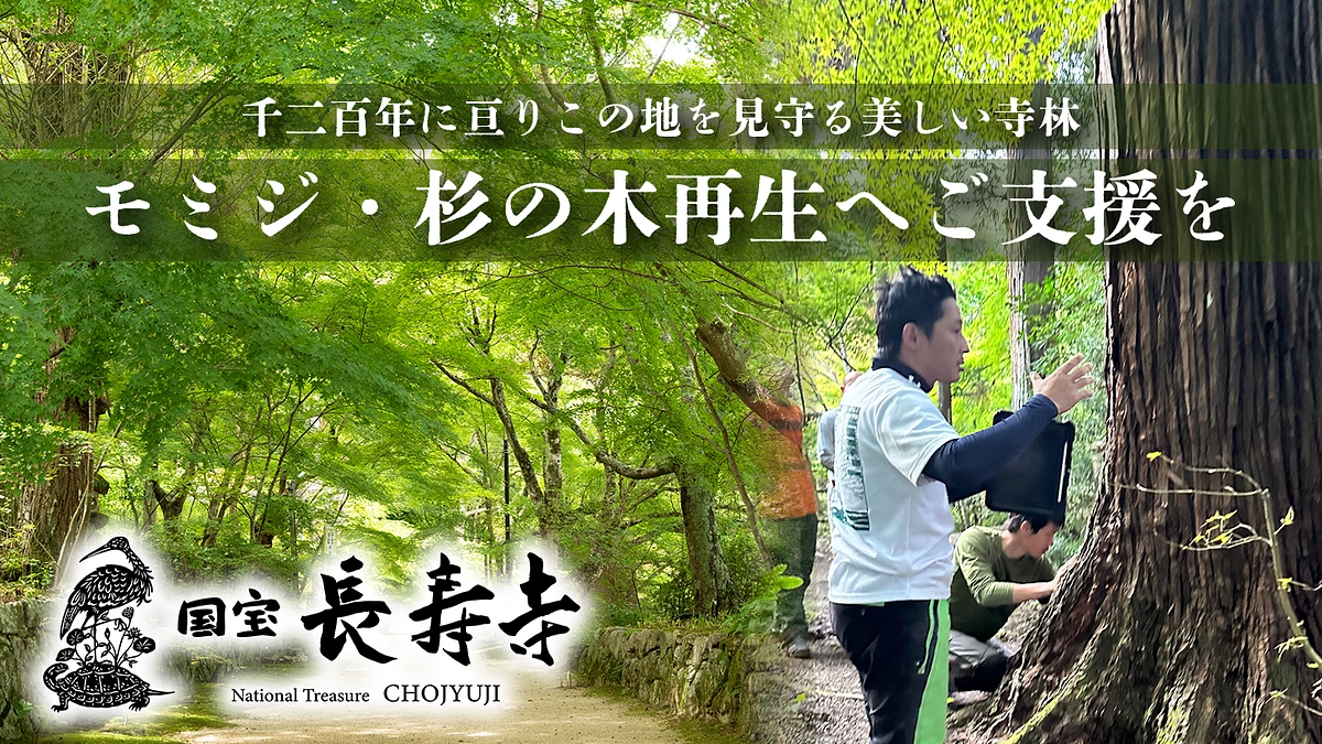 インターネットでのご支援が難しい方へ（代理支援のご案内）