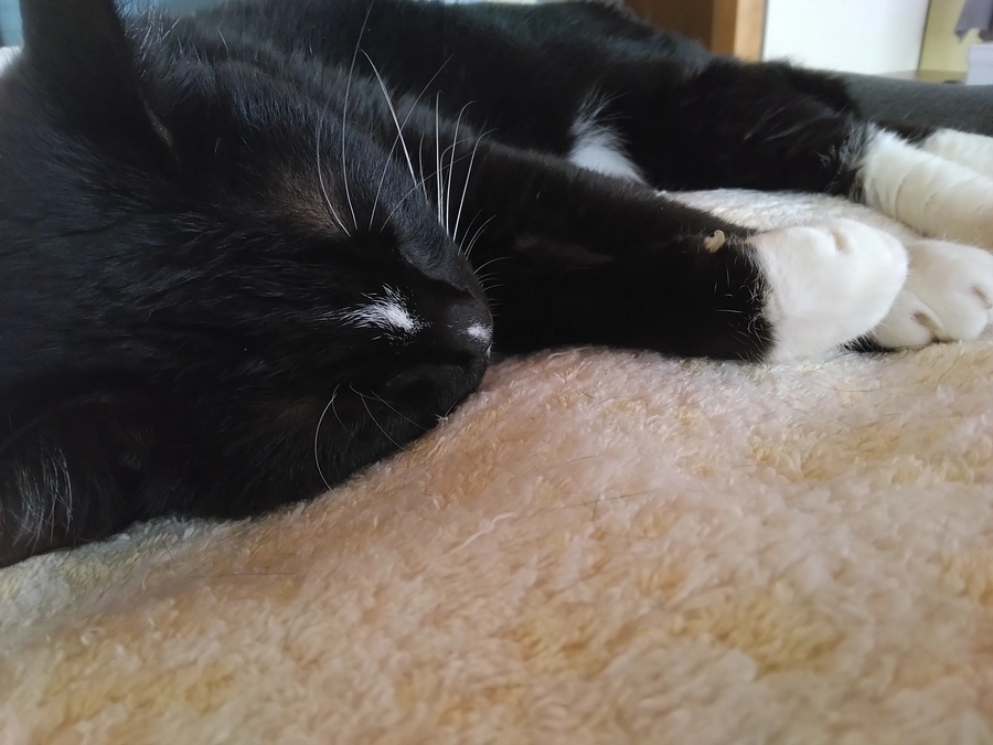 6/13はなちゃんの様子