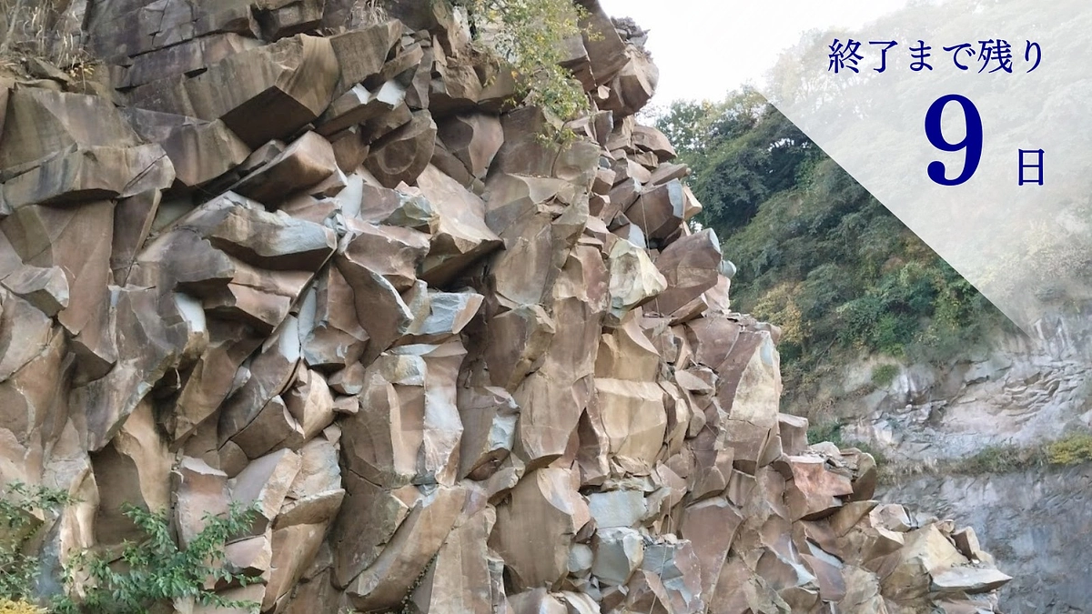 【残り9日】必ず成功させたい！そして、素敵な返礼のご紹介を改めて。