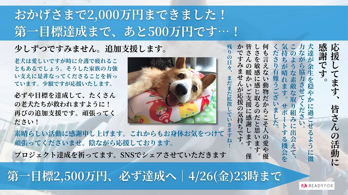 お陰様で2000万を突破しました！！