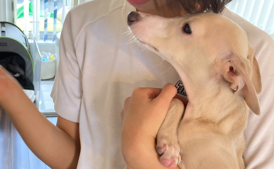 レオーネを未来を応援したい②