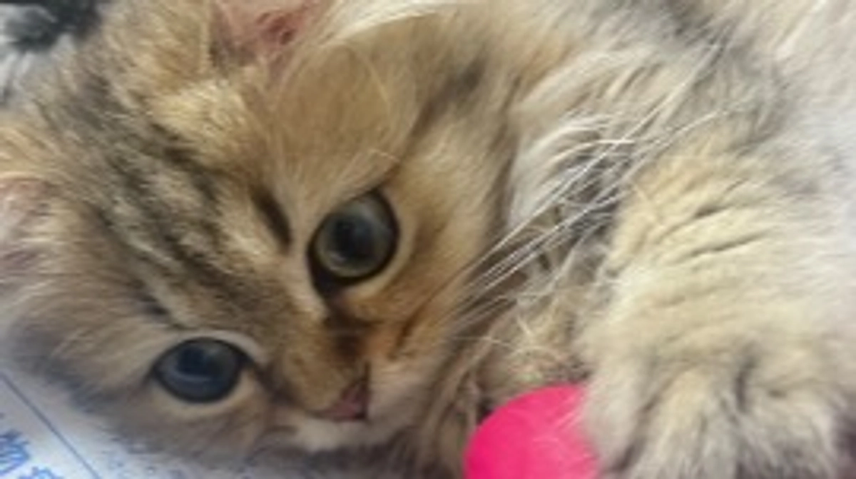 いよいよこの日が来ました！(^^)v