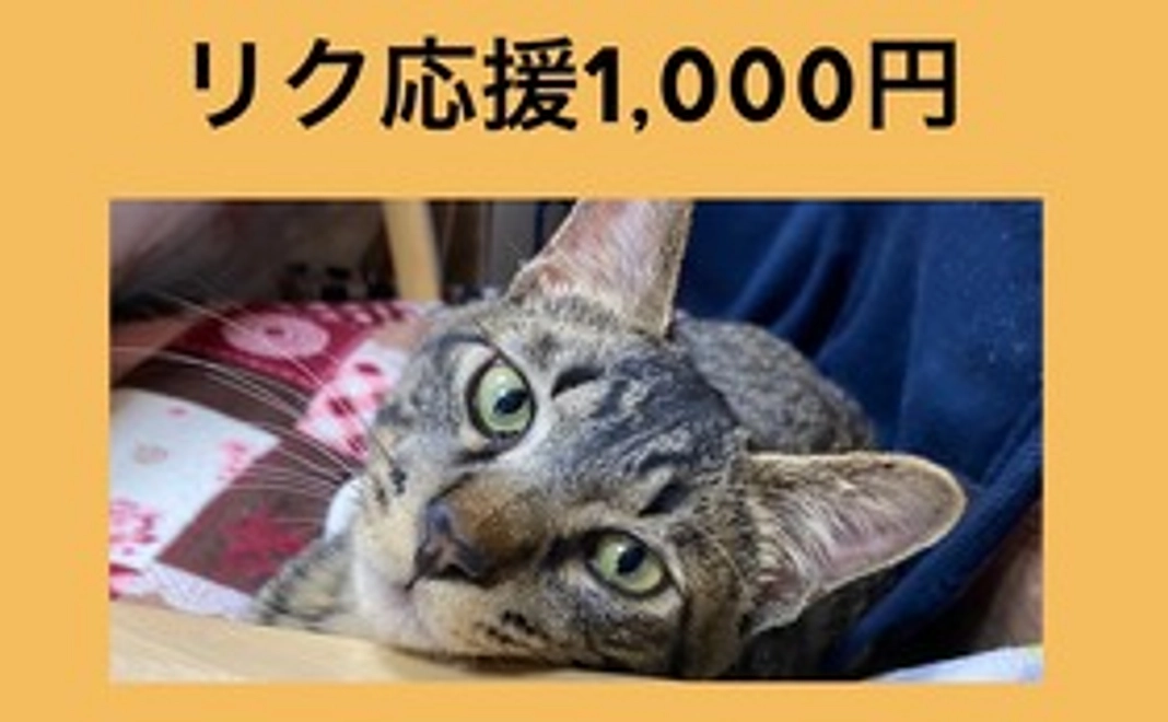 リク応援1,000円