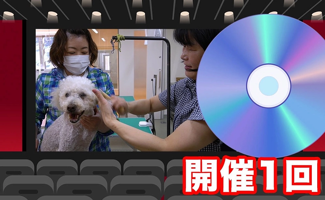 【リターン紹介⑤】自主上映会開催権（＋HPクレジット）コース｜3万円