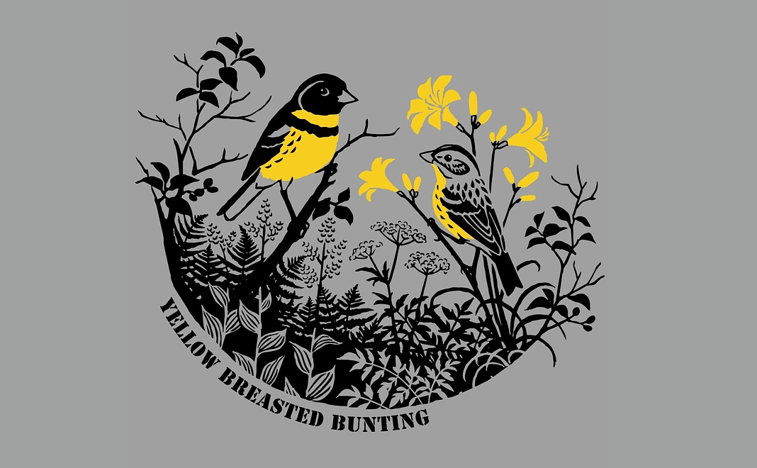 【15,400円】サイズが選べるモンベル製 高機能シマアオジTシャツコース