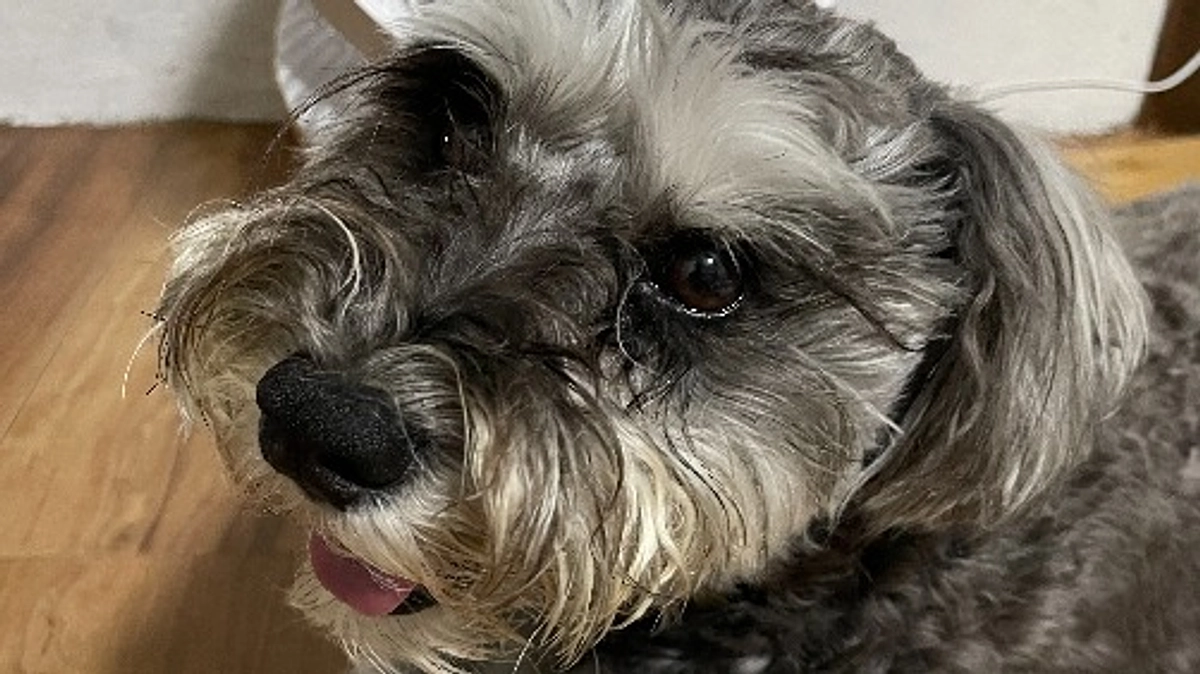 2023年7月9日　術後1週間経過！