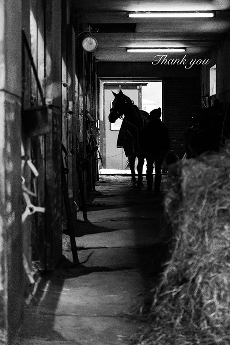 応援メッセージのご紹介⑥