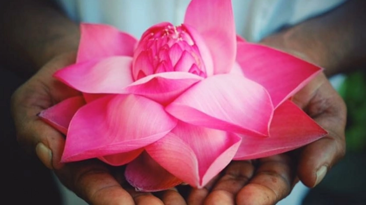 身・食・心。全てをケアできるスタジオを金沢に作りたい！