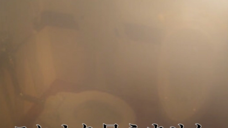 左目が全く見えせん。手術代に困ってます。