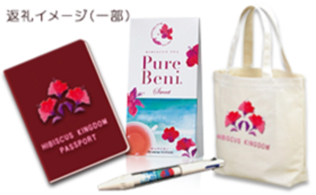 限定パスポート付支援プラン