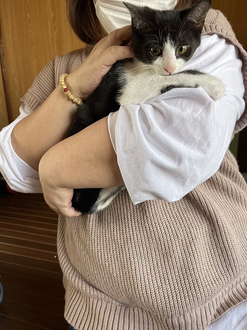 のこり４日となりました🙇‍♀️