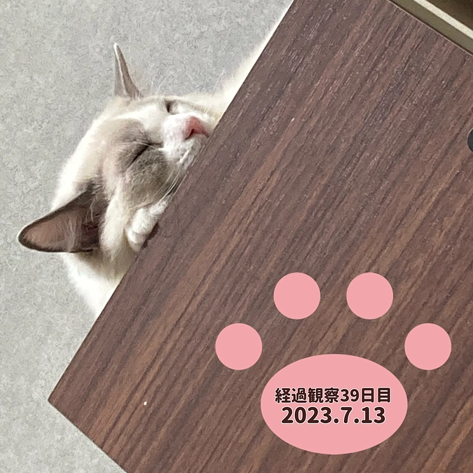 経過観察39日目(2023.7.13)