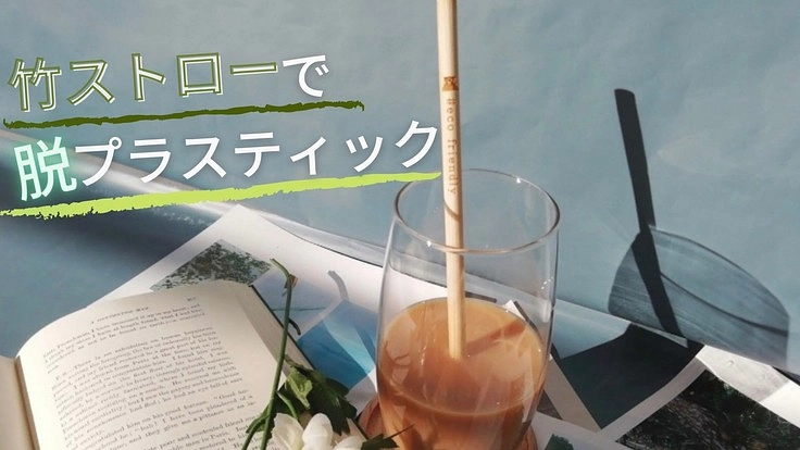 竹ストローでSDGsを広め熊本県に寄付したい!