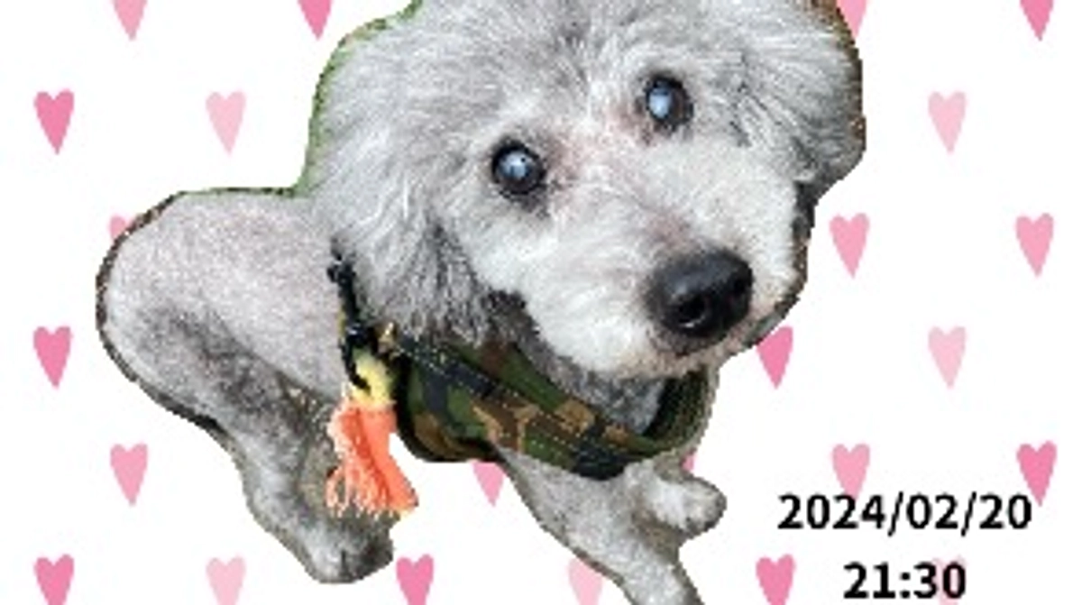 手術終わりました