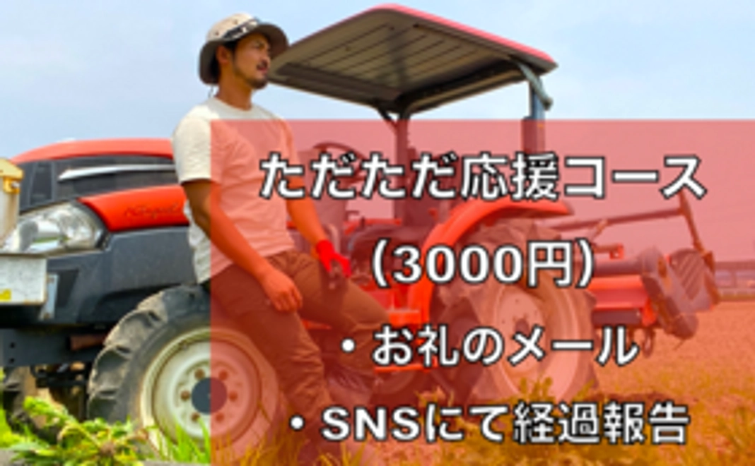 ただただ応援コース