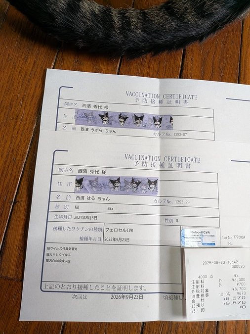 ワクチン接種💉