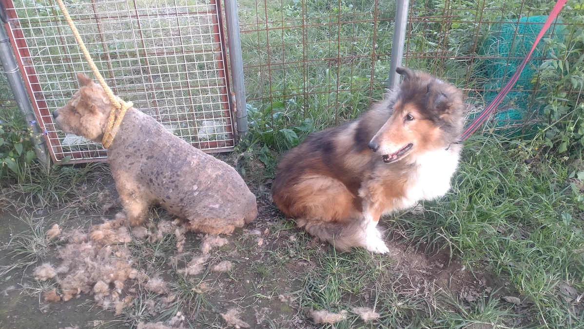 皆様のご寄付のお力で