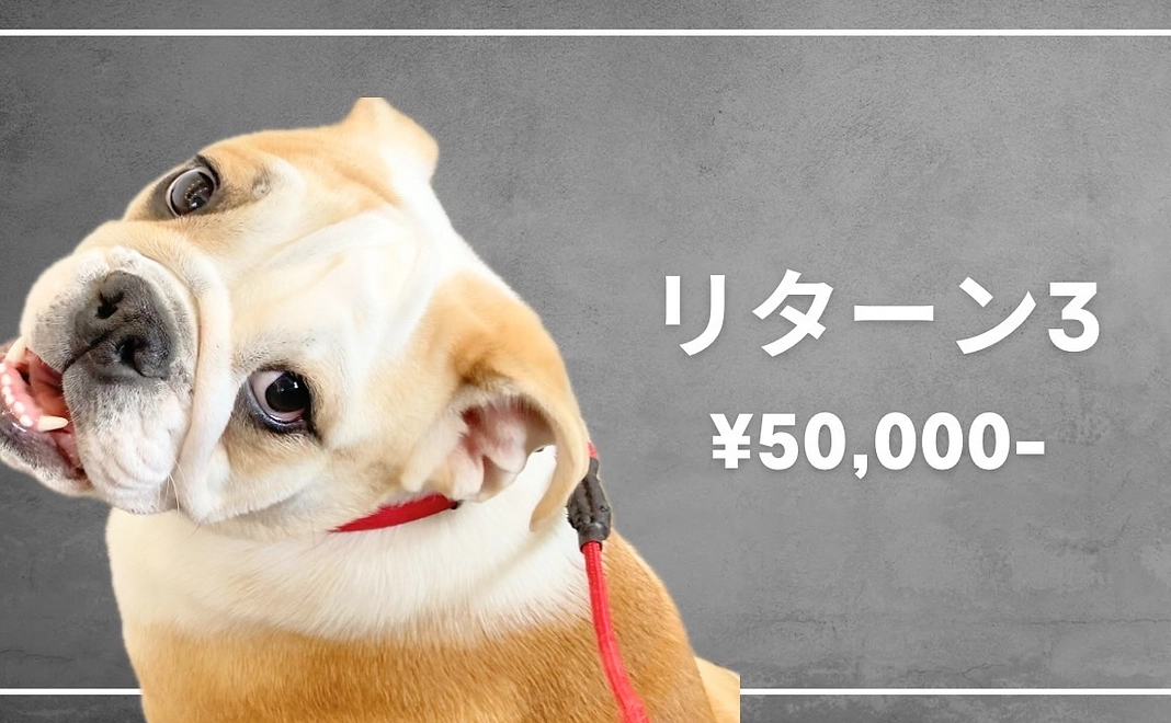 ぶるほむチケット¥5,000付きプラン