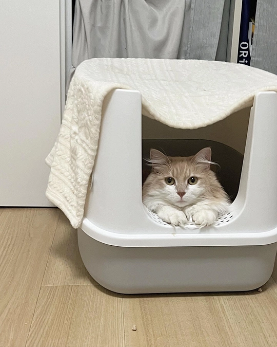 投薬期間が延長になりました😭