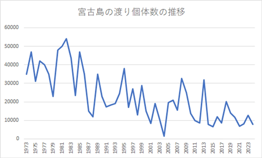 残り2日！　宮古島の通過個体数の推移