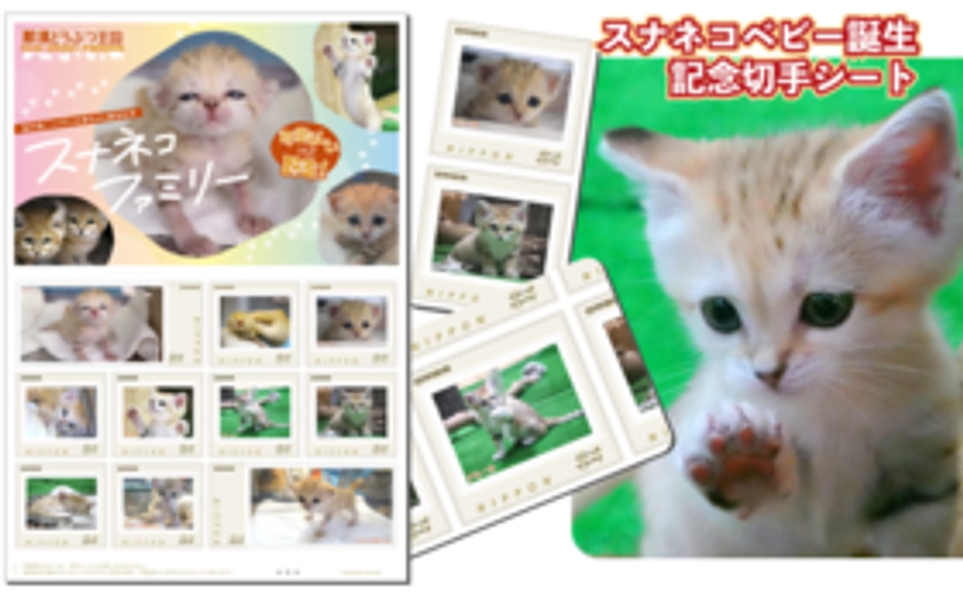 A-4 グッズで応援 | スナネコ フレーム切手