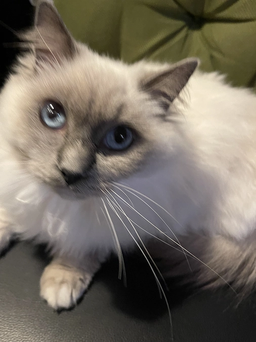 お力添えよろしくお願いします🙇