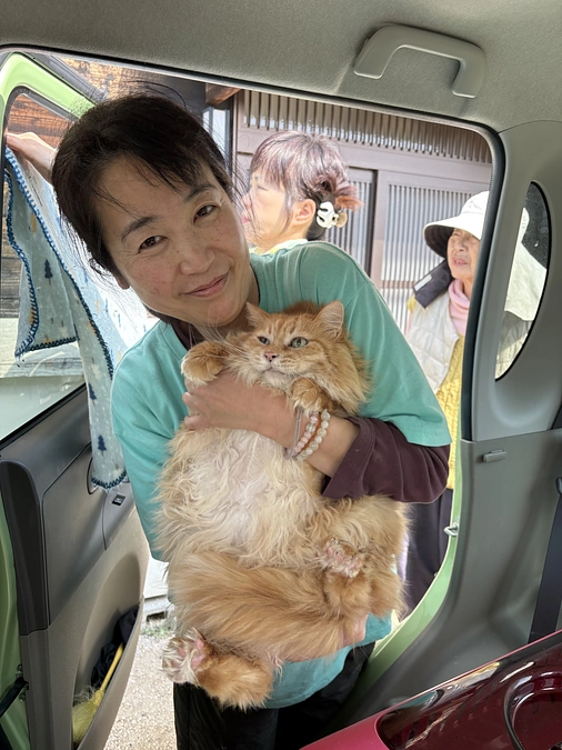 猫の一生（猫と紡ぐ澤野路子の今の思い）