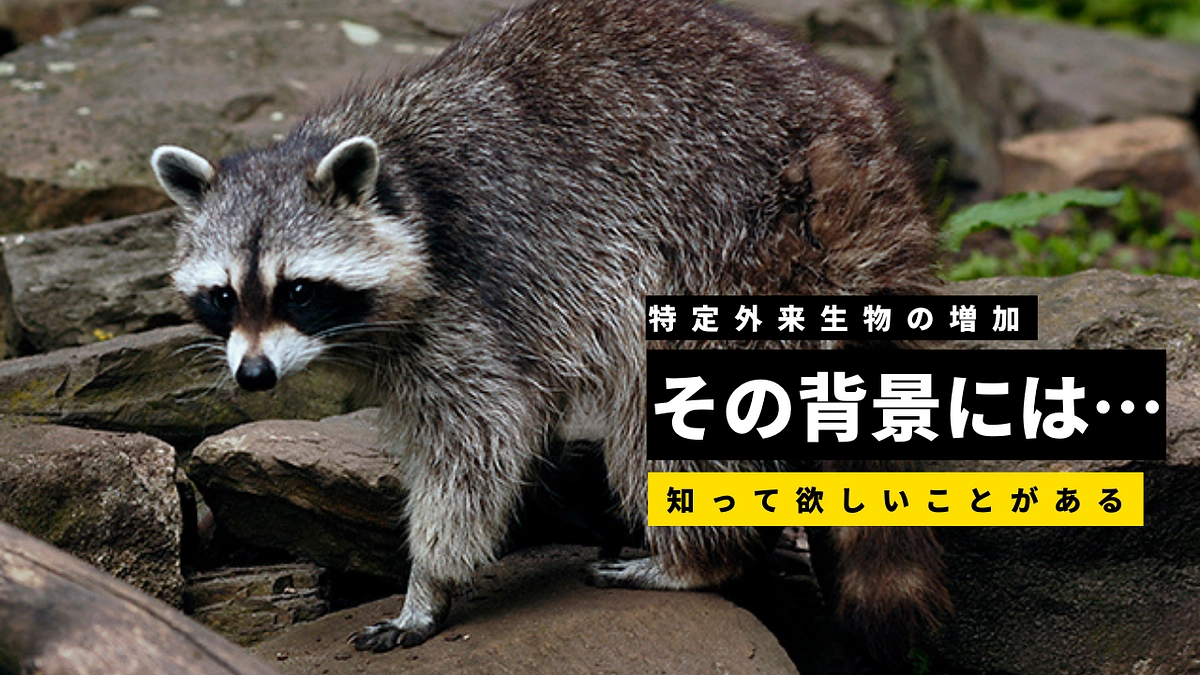 【特定外来生物の現状】減らすことができない背景には……