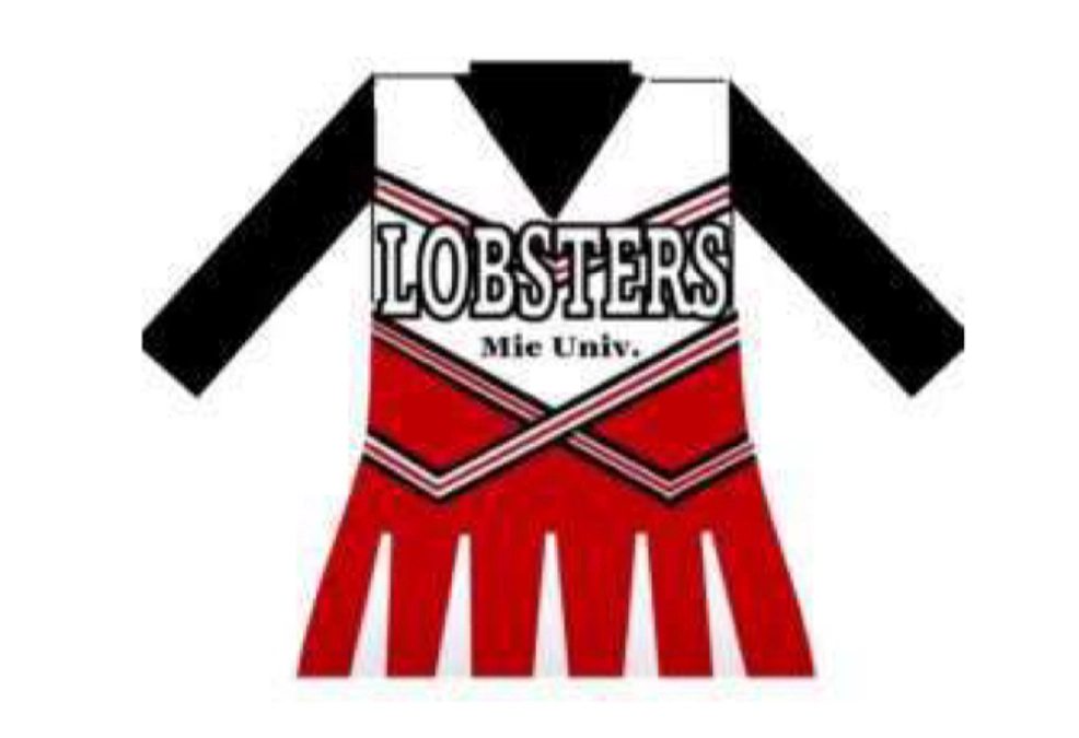 新チアユニフォームについて（ご紹介）