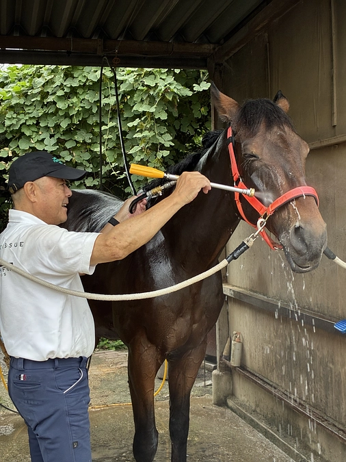 今日もリョーノテソーロの運動にいきました