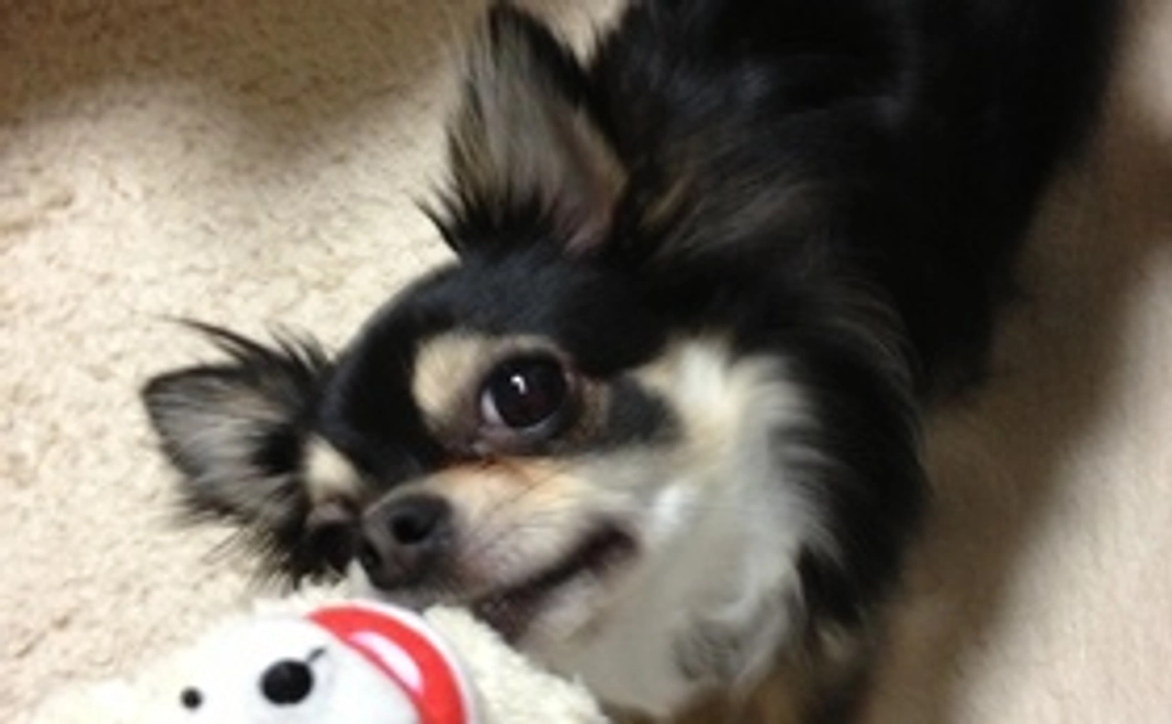 みかんに元気を！③