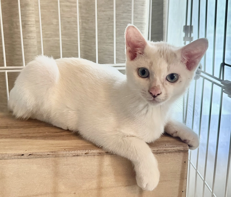 皆さまの温かいご支援に感謝