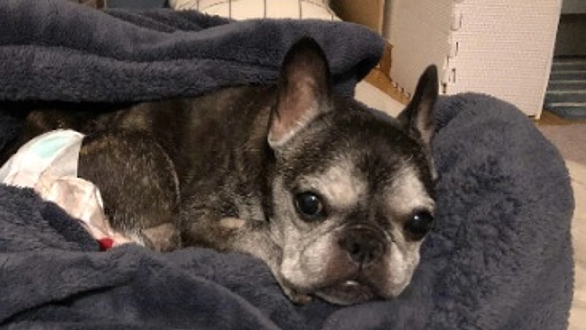 経過報告（締め切りまであと10日）