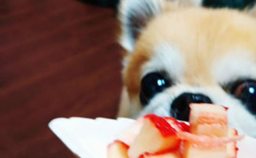 もぐ♪もぐ♪ココアコース