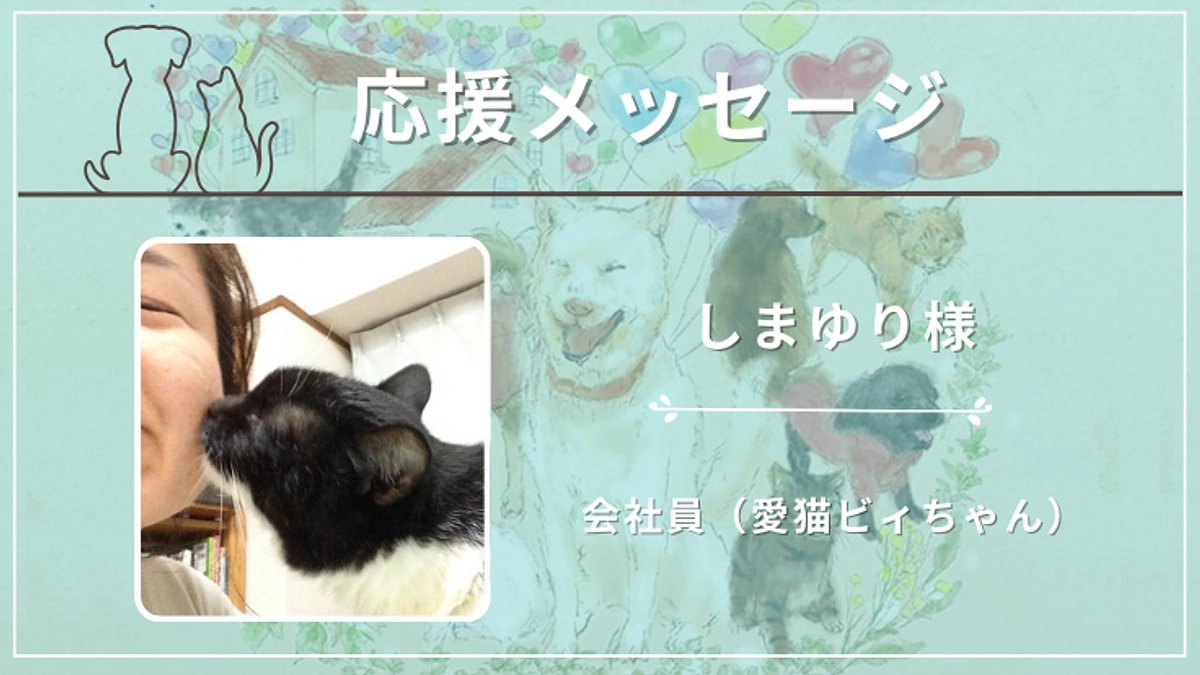 しまゆり様（愛猫ビィちゃん）から応援メッセージをいただいております！