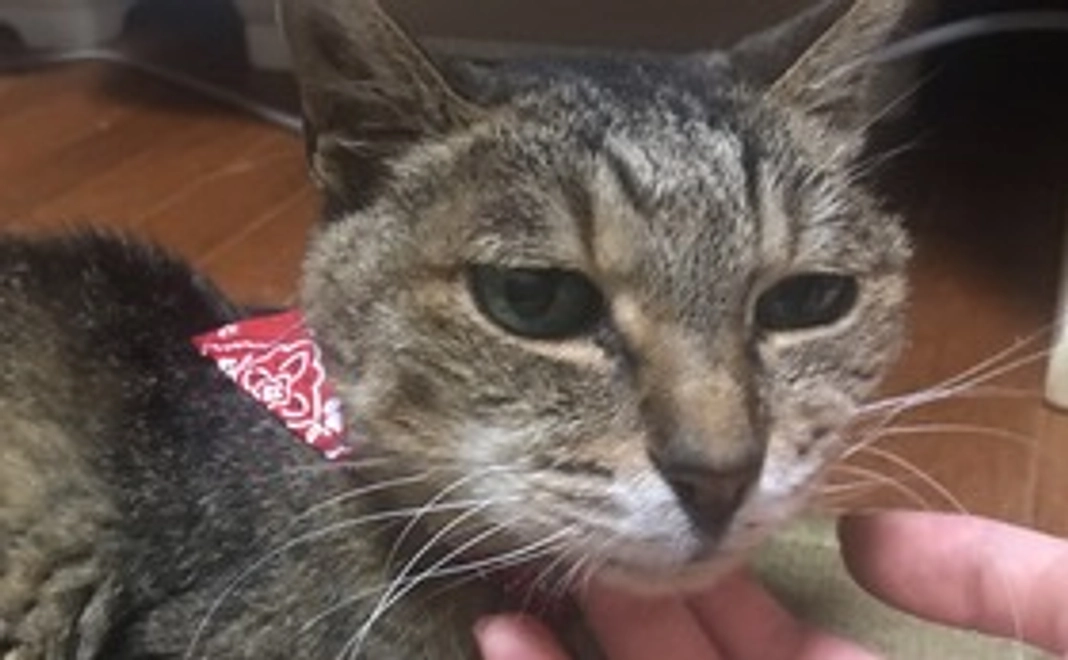 長生きしようね！たみこちゃん