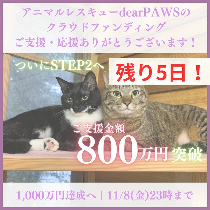 【あと5日！】ネクストゴール 第1ステップ 800万円突破！