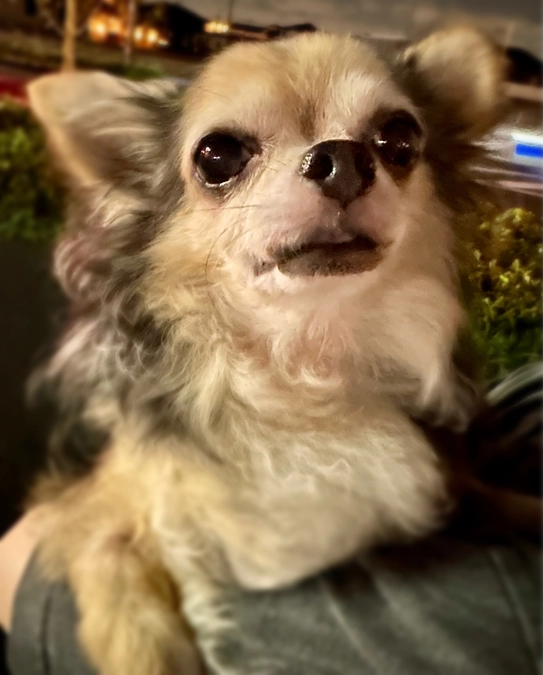 【公開日】初日から温かいご支援ありがとうございました。