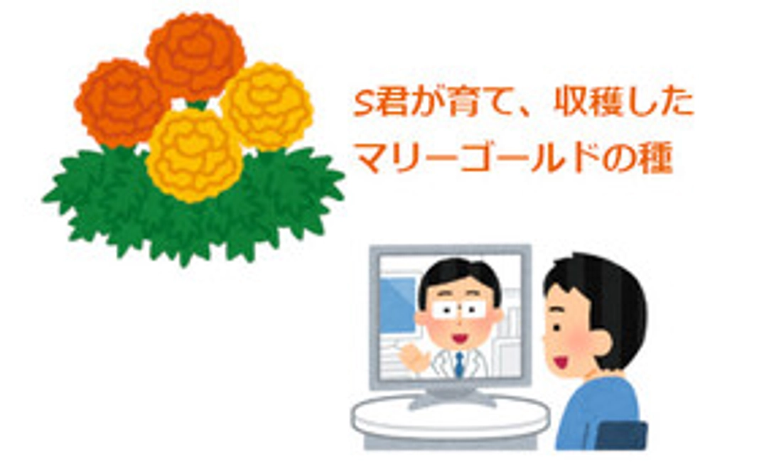 Sくんが育てた花の種 + オンライン講習会 コース