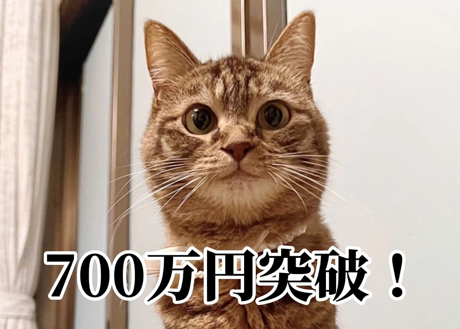 700万円を突破しました！