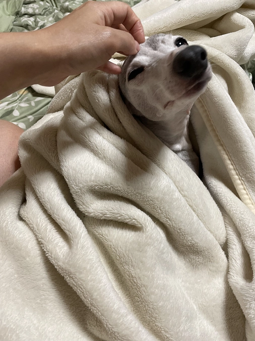 残り22日となりました...