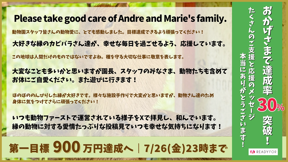 14日目にして30%達成！！たくさんのご支援ありがとうございます！！