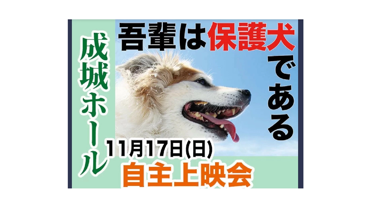 11/17(日) 【映画／吾輩は保護犬である】共催させていただきます！