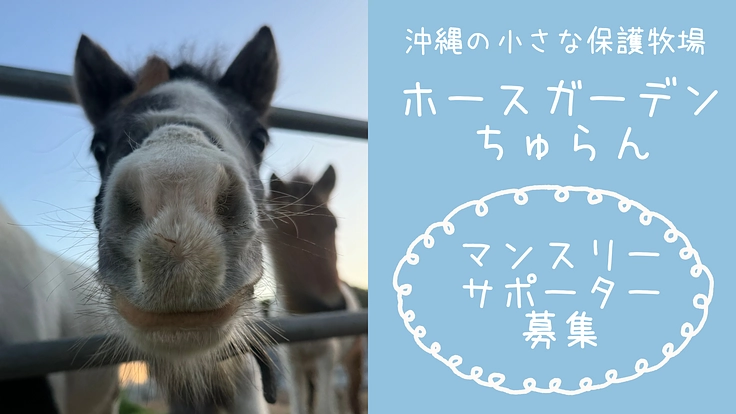 沖縄の小さな保護牧場　ホースガーデンちゅらん マンスリーサポート