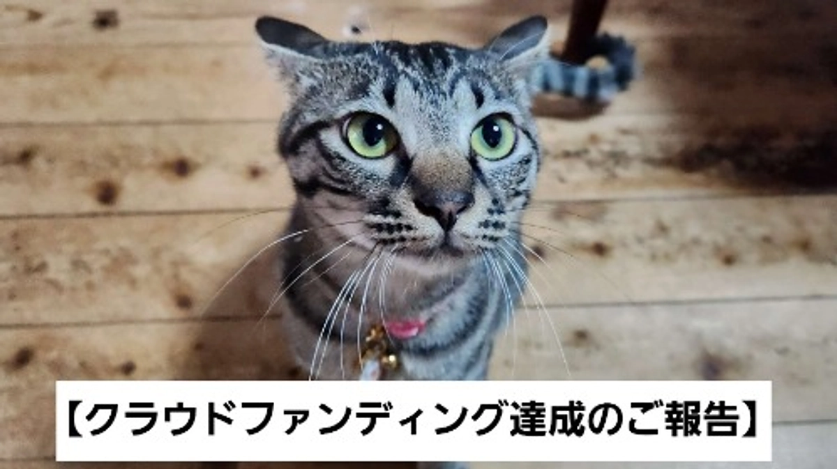 【クラウドファンディング達成のご報告🍀】