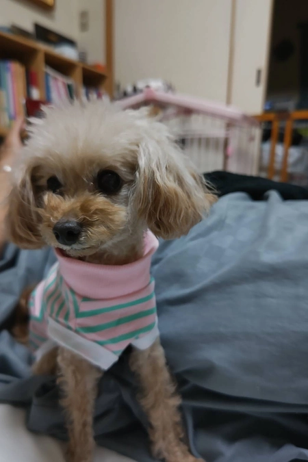 クラウドファンディング最終日！！！